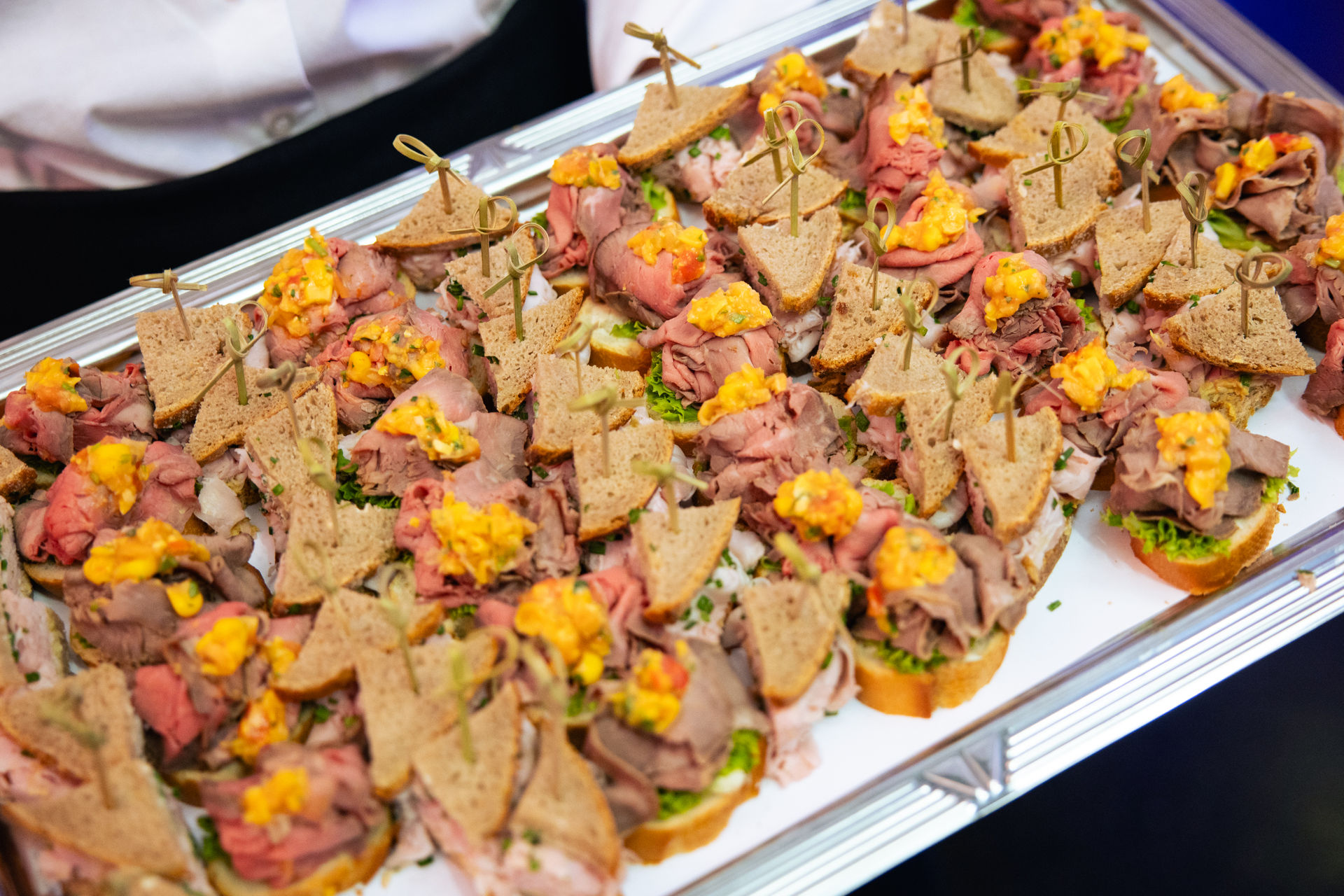 459   20250311 Bacher Systems EDV GmbH (1585)